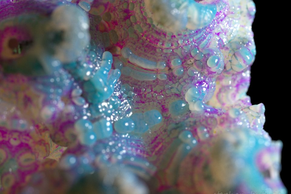 Grafiken mit abstrakten Motiven